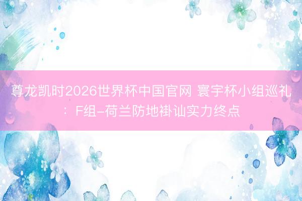 尊龙凯时2026世界杯中国官网 寰宇杯小组巡礼:F组-荷兰防地褂讪实力终点