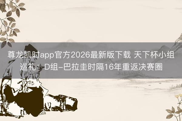 尊龙凯时app官方2026最新版下载 天下杯小组巡礼：D组-巴拉圭时隔16年重返决赛圈