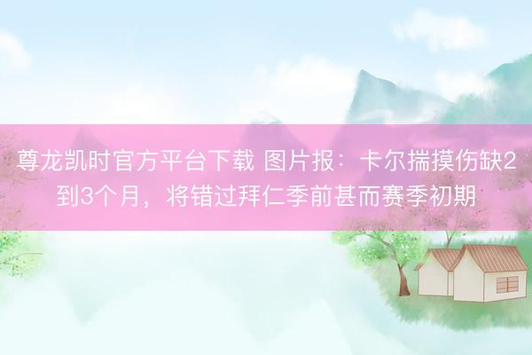 尊龙凯时官方平台下载 图片报：卡尔揣摸伤缺2到3个月，将错过拜仁季前甚而赛季初期