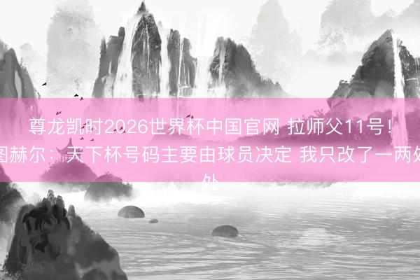 尊龙凯时2026世界杯中国官网 拉师父11号！图赫尔：天下杯号码主要由球员决定 我只改了一两处