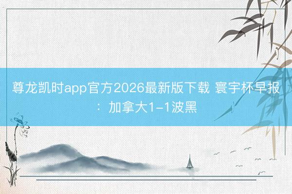尊龙凯时app官方2026最新版下载 寰宇杯早报：加拿大1-1波黑