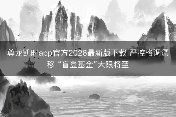 尊龙凯时app官方2026最新版下载 严控格调漂移 “盲盒基金”大限将至