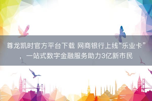尊龙凯时官方平台下载 网商银行上线“乐业卡”，一站式数字金融服务助力3亿新市民