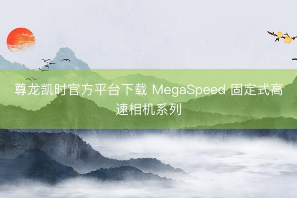 尊龙凯时官方平台下载 MegaSpeed 固定式高速相机系列