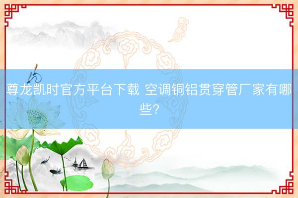 尊龙凯时官方平台下载 空调铜铝贯穿管厂家有哪些?
